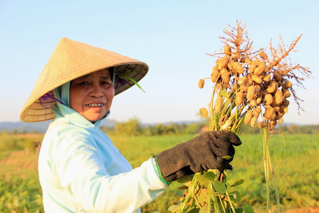 DAP cung cấp dòng sản phẩm mới giúp hiệu quả cao, tăng năng suất