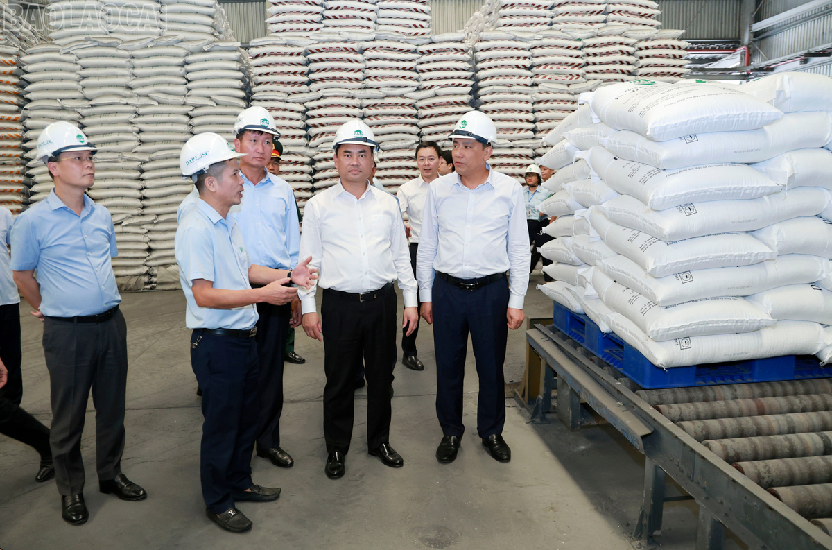 Bí Thư Tỉnh Ủy Trịnh Việt Hùng và Đoàn công tác Tỉnh ủy kiểm tra tại nhà máy DAP số 2 - Vinachem 