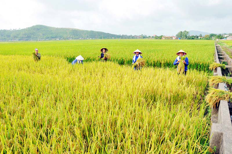 Thăm và mừng xuân Tây Bắc